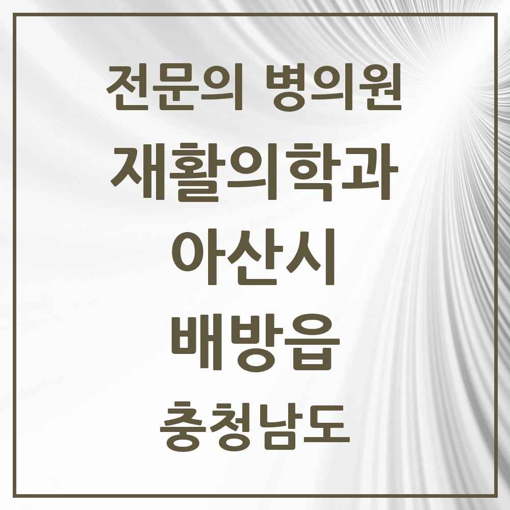 2025 충청남도 아산시 배방읍 재활의학과 전문의 의원·병원 목록 1곳