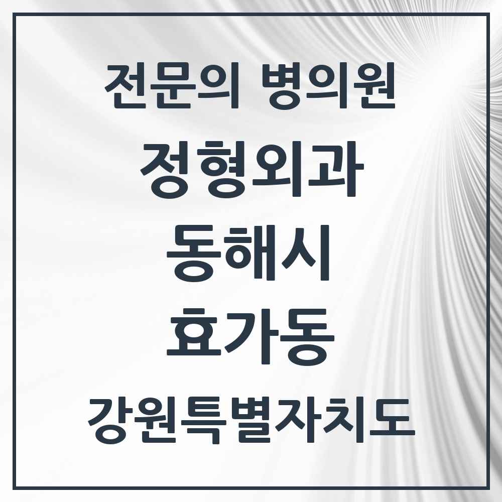 2025 강원특별자치도 동해시 효가동 정형외과 전문의 의원·병원 목록 1곳