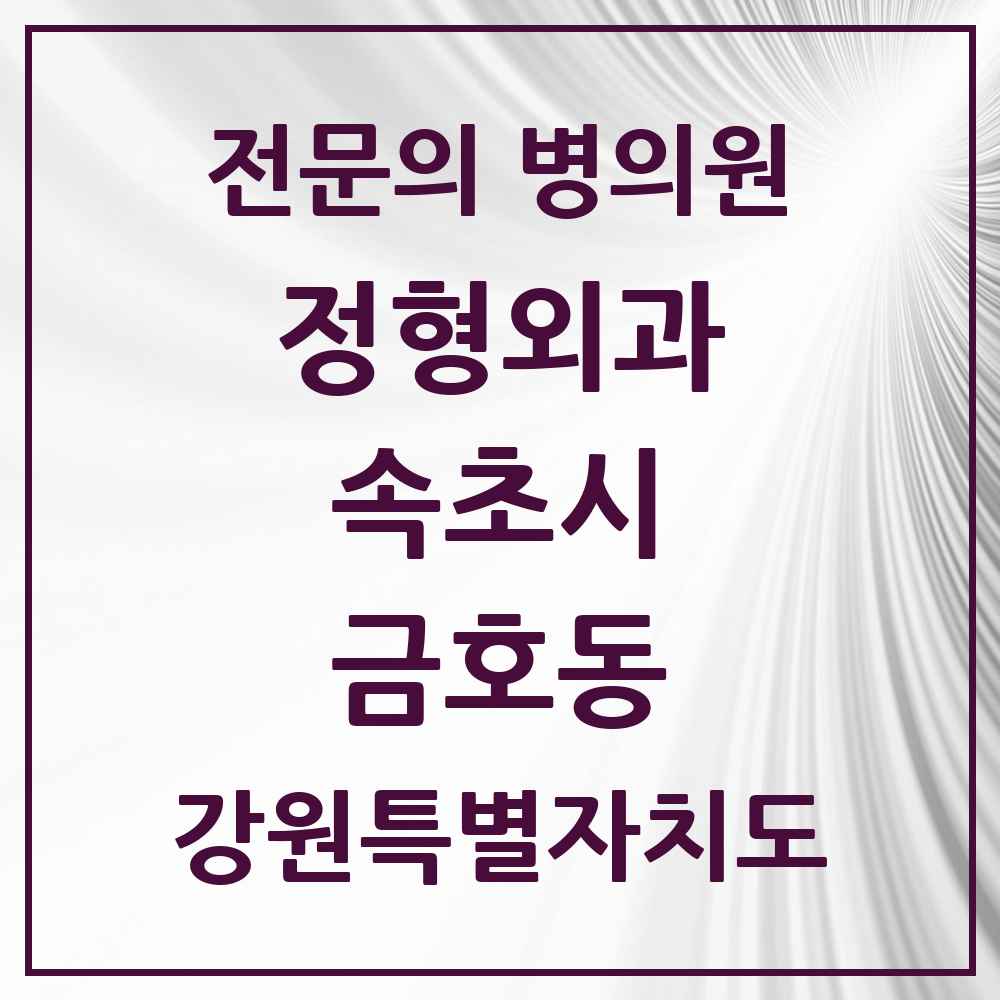 2025 강원특별자치도 속초시 금호동 정형외과 전문의 의원·병원 목록 1곳