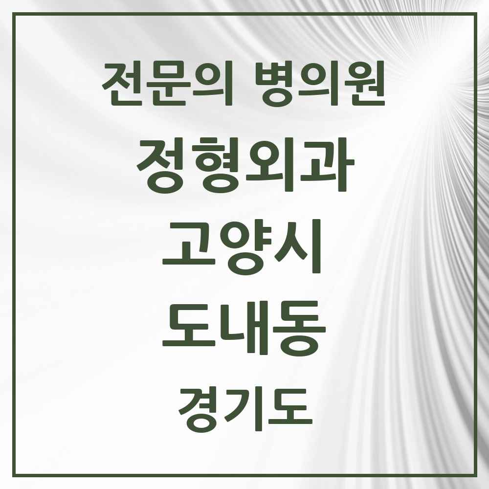 2025 경기도 고양시 도내동 정형외과 전문의 의원·병원 목록 1곳