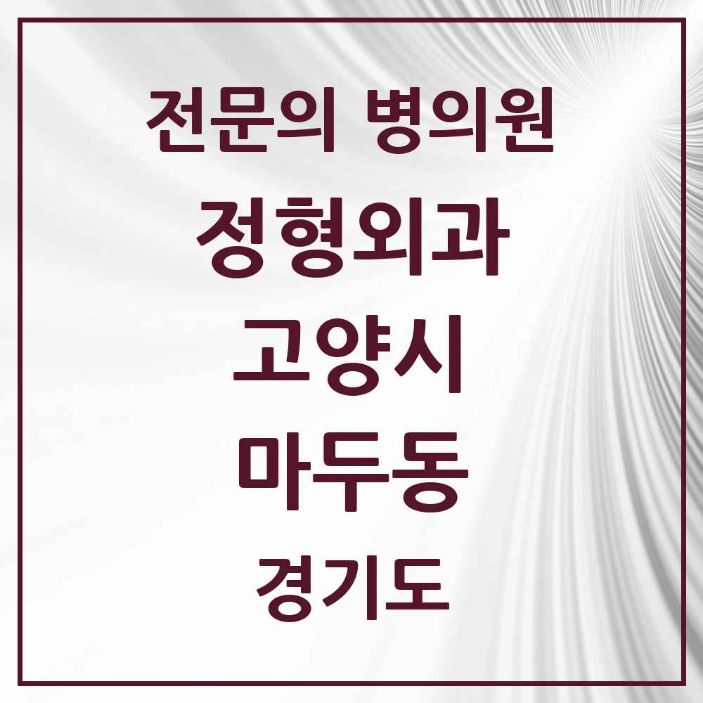 2025 경기도 고양시 마두동 정형외과 전문의 의원·병원 목록 3곳