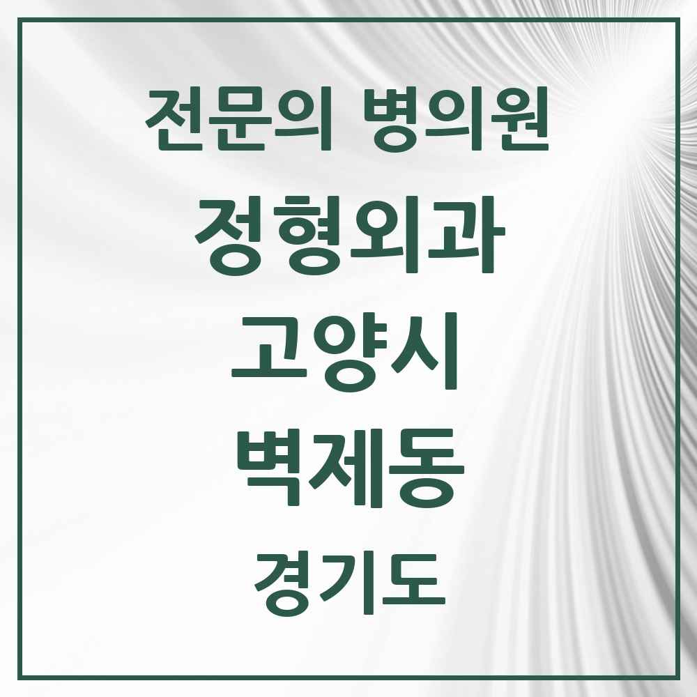 2025 경기도 고양시 벽제동 정형외과 전문의 의원·병원 목록 1곳