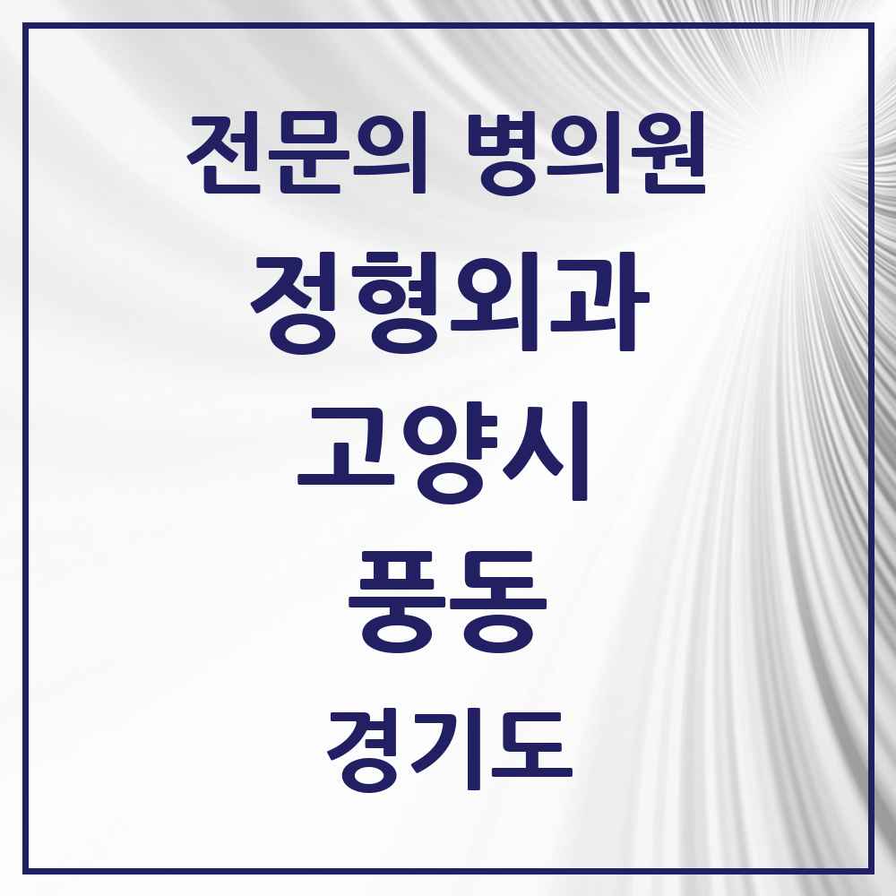 2025 경기도 고양시 풍동 정형외과 전문의 의원·병원 목록 1곳
