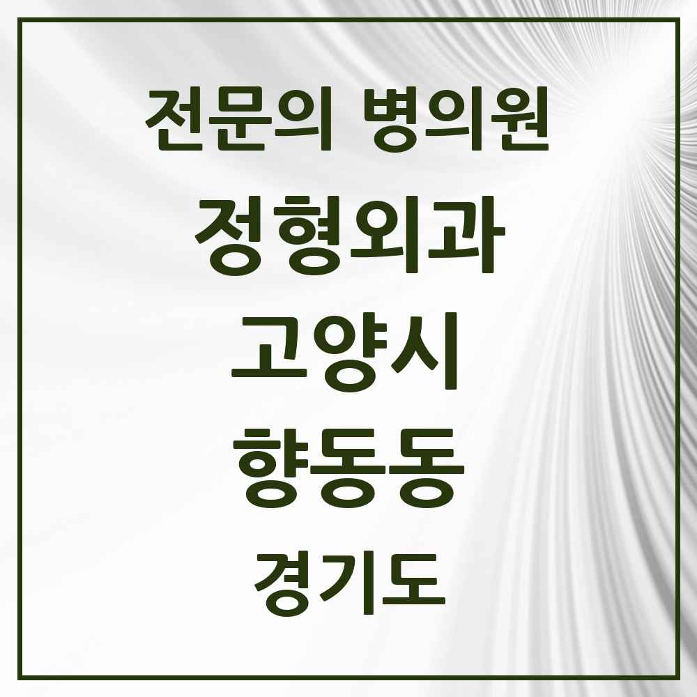 2025 경기도 고양시 향동동 정형외과 전문의 의원·병원 목록 2곳