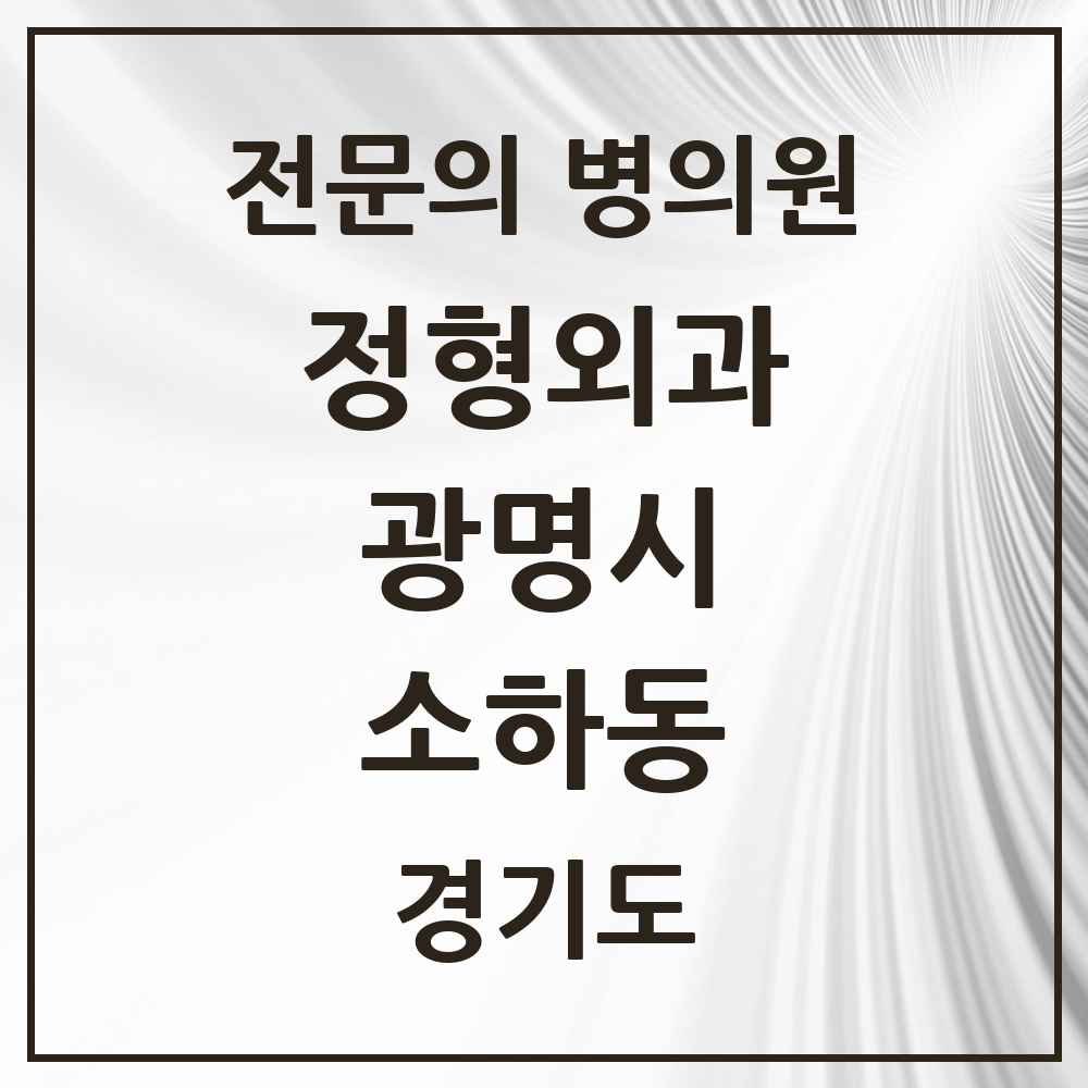 2025 경기도 광명시 소하동 정형외과 전문의 의원·병원 목록 6곳