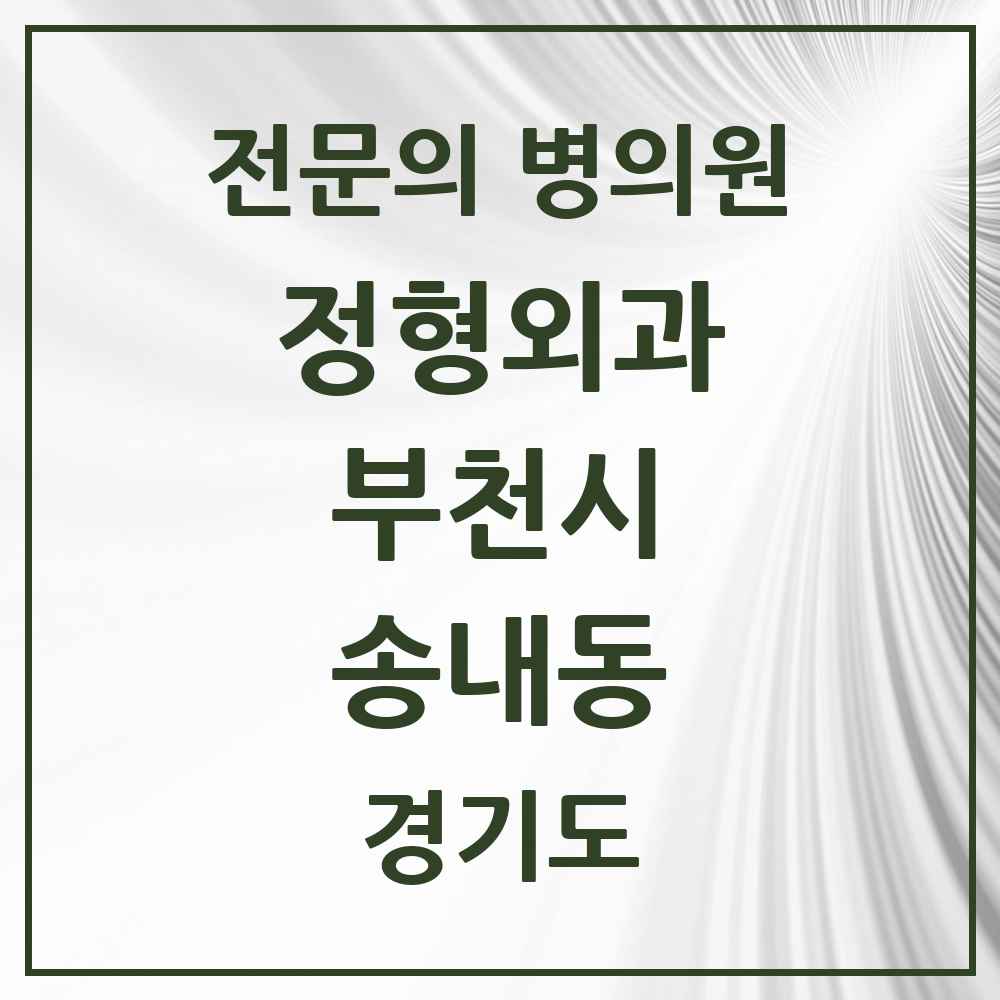 2025 경기도 부천시 송내동 정형외과 전문의 의원·병원 목록 3곳