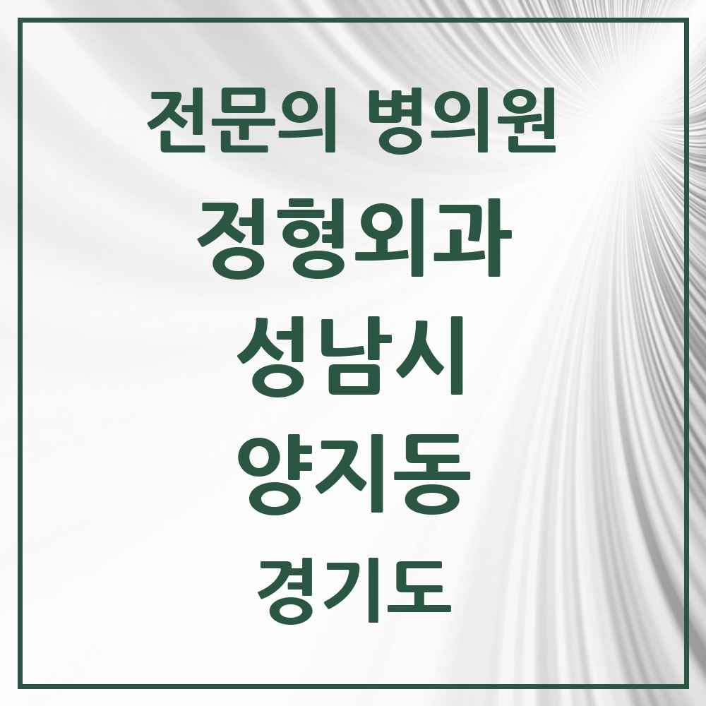 2025 경기도 성남시 양지동 정형외과 전문의 의원·병원 목록 2곳