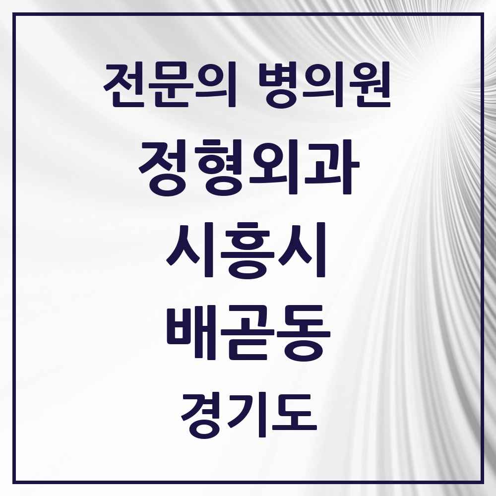 2025 경기도 시흥시 배곧동 정형외과 전문의 의원·병원 목록 5곳