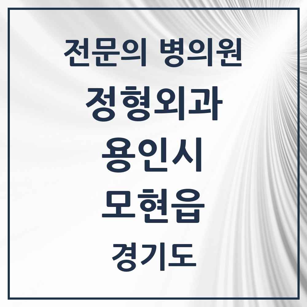 2025 경기도 용인시 모현읍 정형외과 전문의 의원·병원 목록 2곳