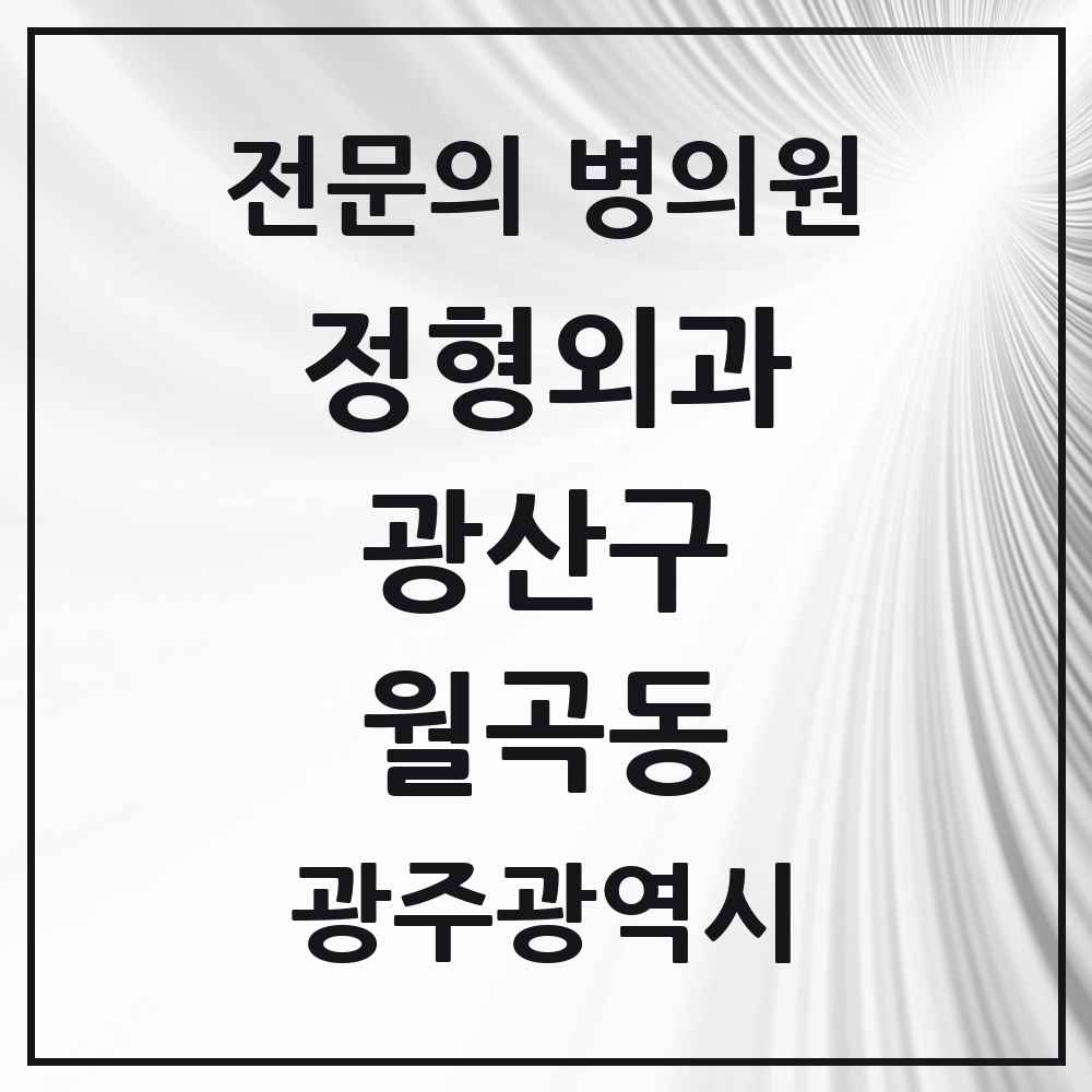 2025 광주광역시 광산구 월곡동 정형외과 전문의 의원·병원 목록 1곳