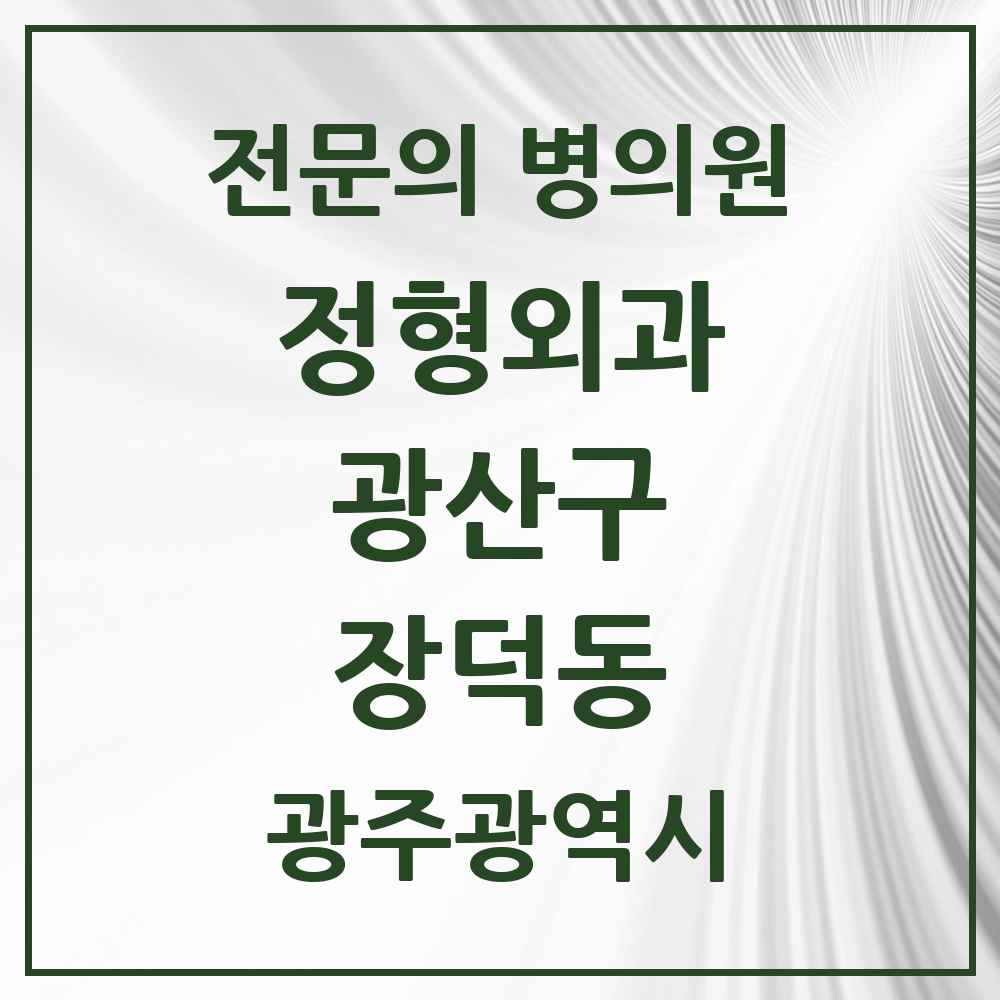 2025 광주광역시 광산구 장덕동 정형외과 전문의 의원·병원 목록 1곳
