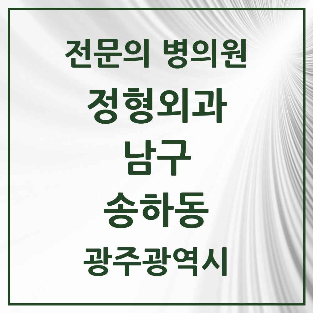 2025 광주광역시 남구 송하동 정형외과 전문의 의원·병원 목록 1곳
