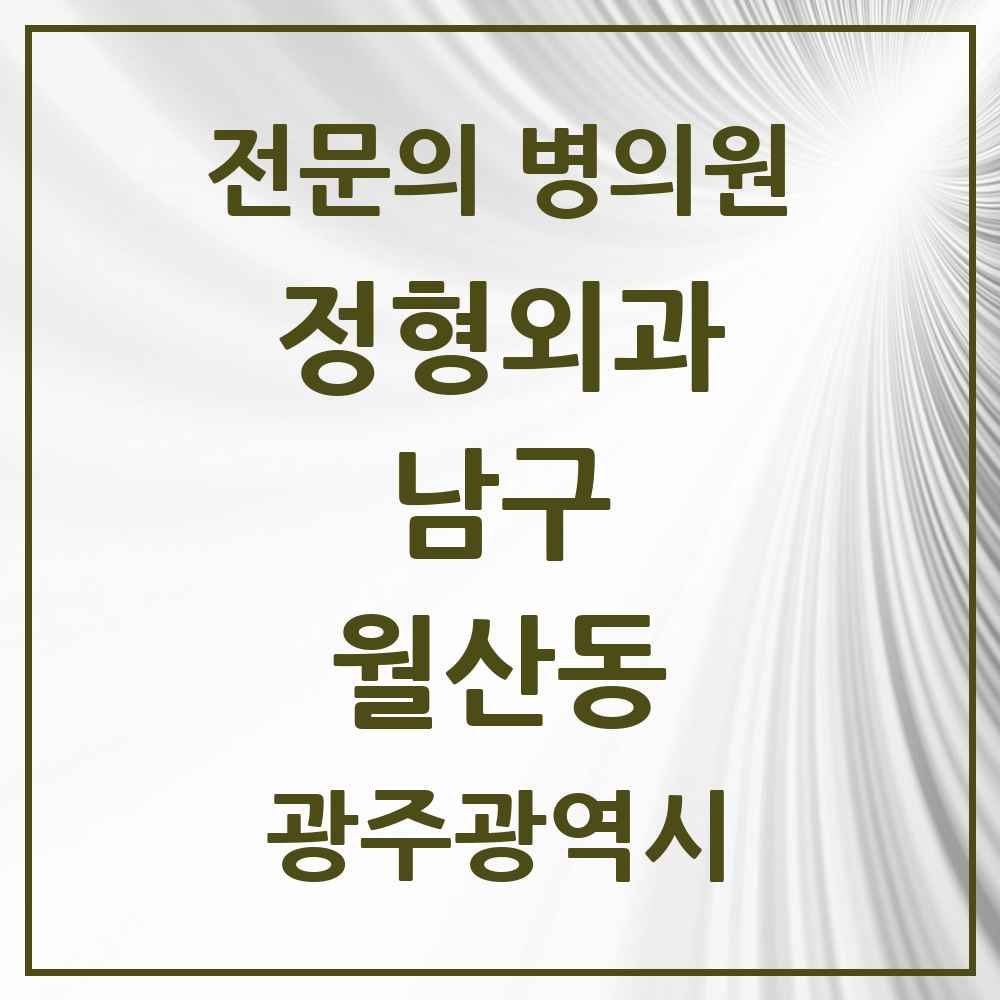 2025 광주광역시 남구 월산동 정형외과 전문의 의원·병원 목록 2곳