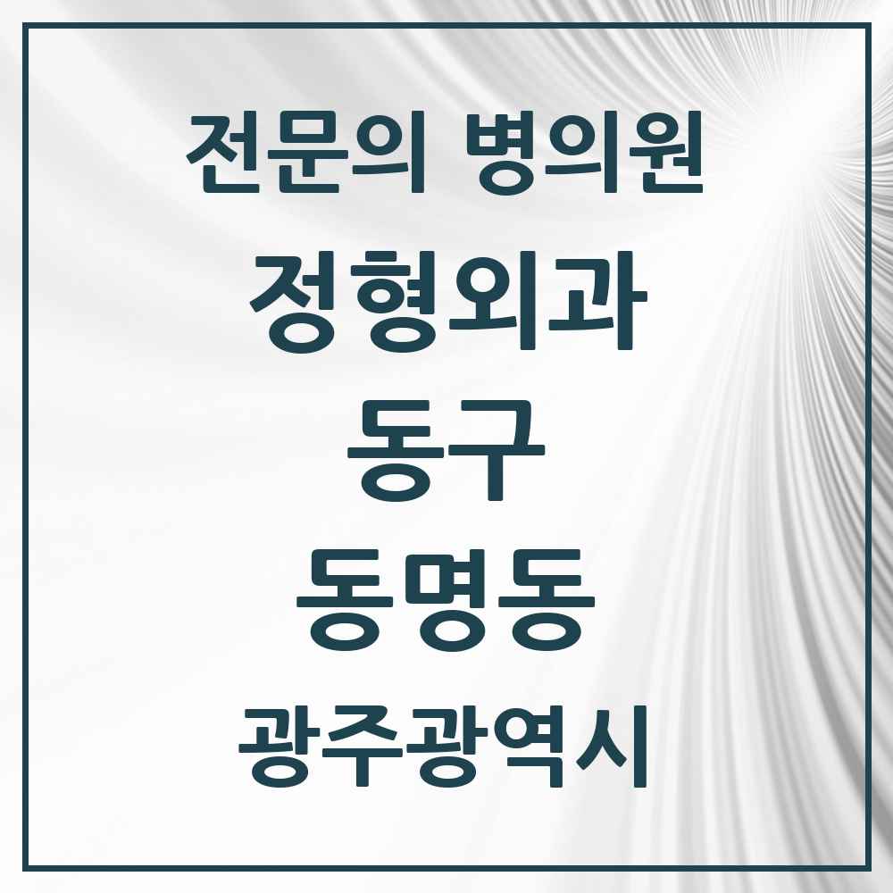 2025 광주광역시 동구 동명동 정형외과 전문의 의원·병원 목록 1곳