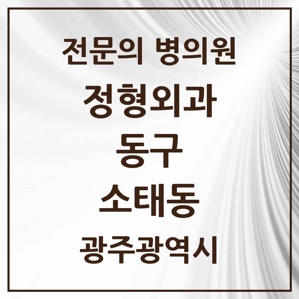 2025 광주광역시 동구 소태동 정형외과 전문의 의원·병원 목록 1곳