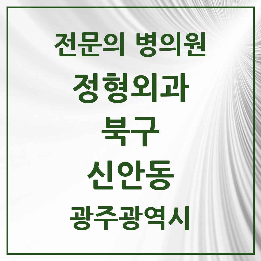 2025 광주광역시 북구 신안동 정형외과 전문의 의원·병원 목록 1곳