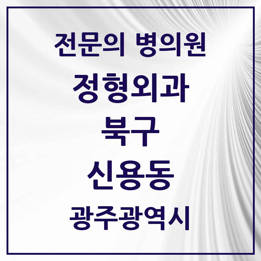 2025 광주광역시 북구 신용동 정형외과 전문의 의원·병원 목록 2곳