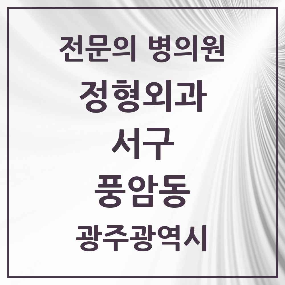 2025 광주광역시 서구 풍암동 정형외과 전문의 의원·병원 목록 1곳