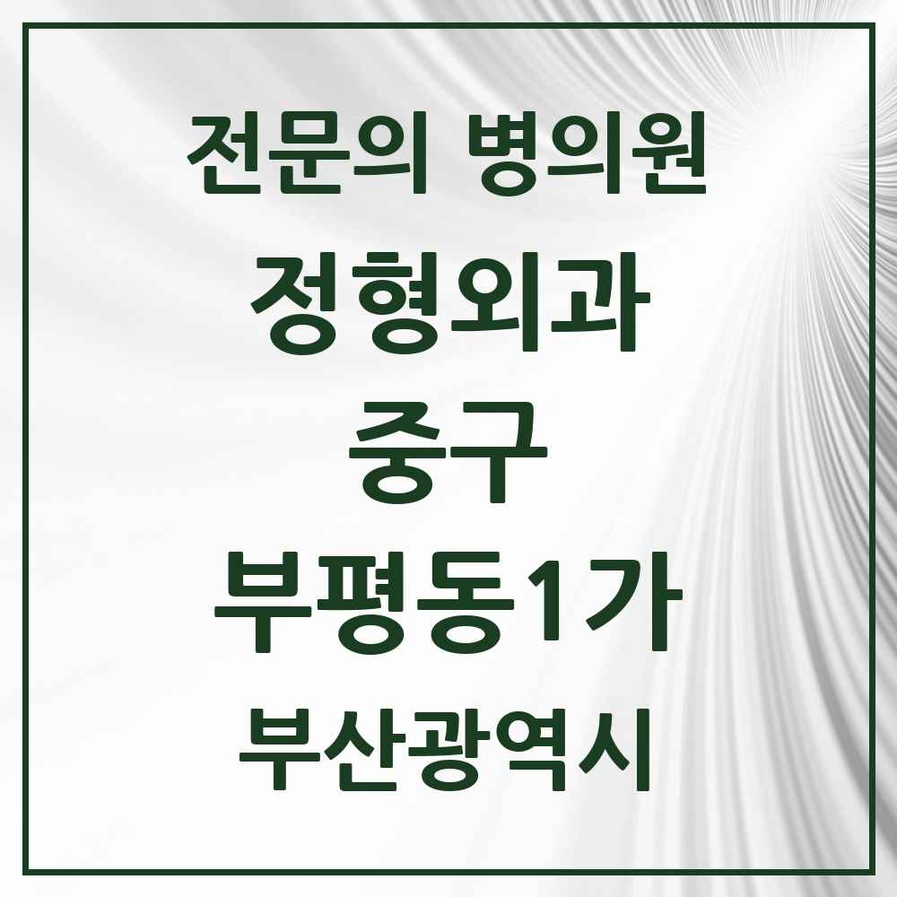 2025 부산광역시 중구 부평동1가 정형외과 전문의 의원·병원 목록 1곳