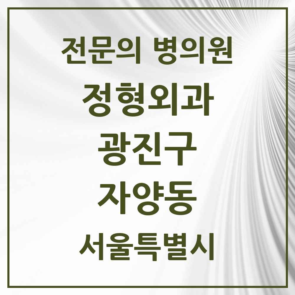 2025 서울특별시 광진구 자양동 정형외과 전문의 의원·병원 목록 12곳