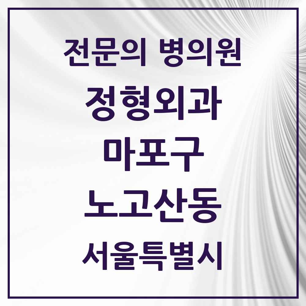 2025 서울특별시 마포구 노고산동 정형외과 전문의 의원·병원 목록 1곳