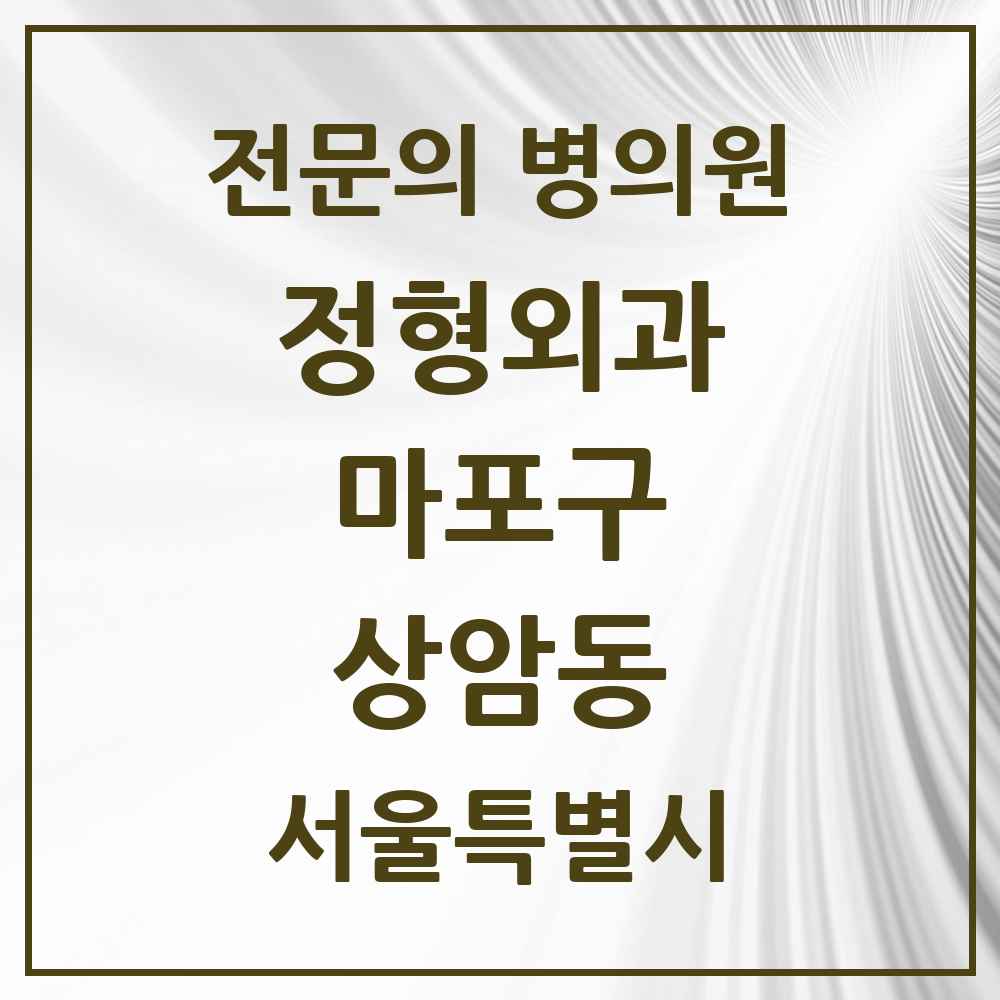 2025 서울특별시 마포구 상암동 정형외과 전문의 의원·병원 목록 3곳