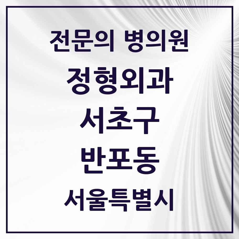 2025 서울특별시 서초구 반포동 정형외과 전문의 의원·병원 목록 9곳