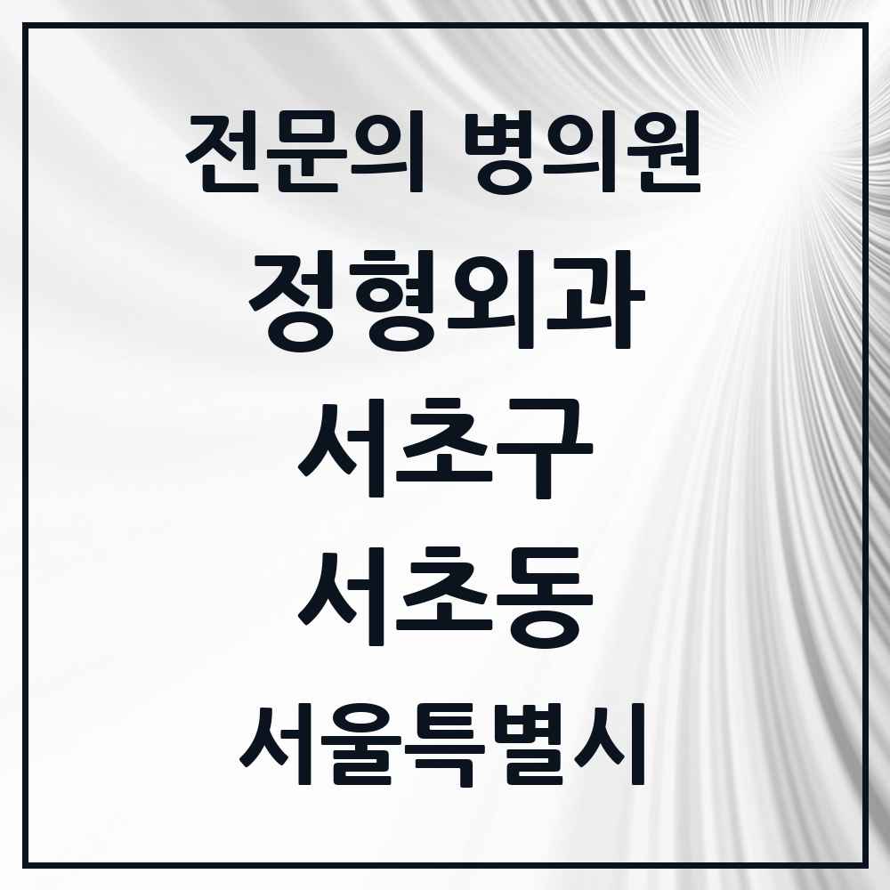 2025 서울특별시 서초구 서초동 정형외과 전문의 의원·병원 목록 13곳