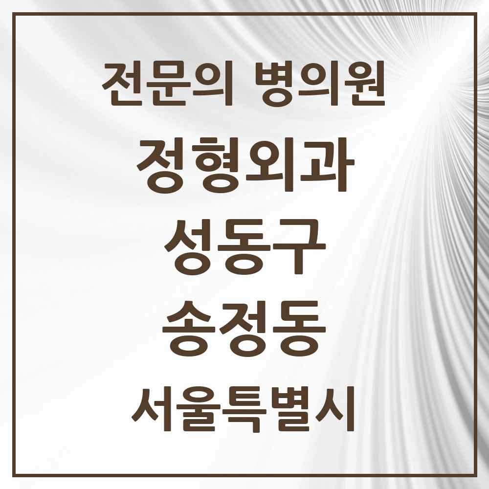 2025 서울특별시 성동구 송정동 정형외과 전문의 의원·병원 목록 1곳