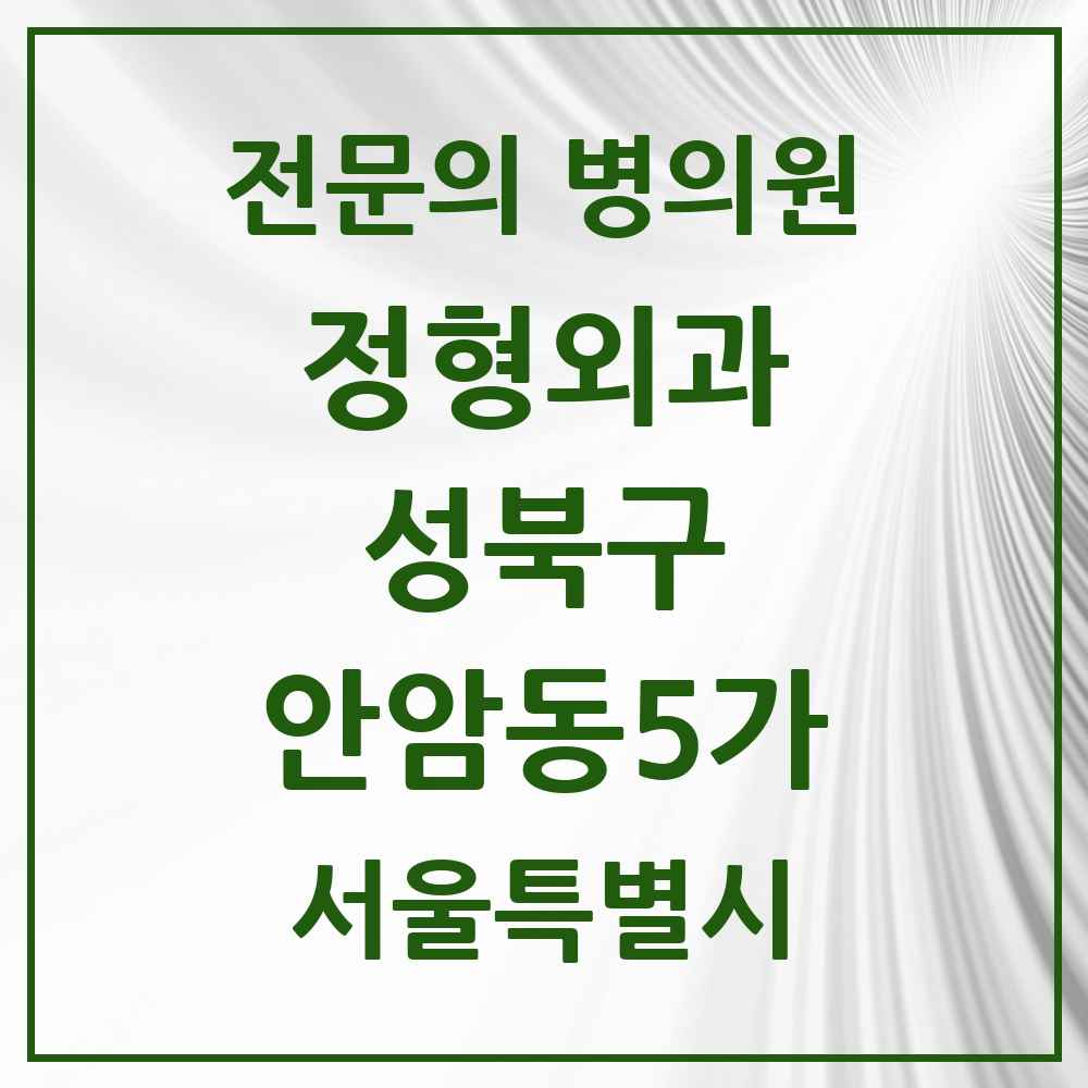 2025 서울특별시 성북구 안암동5가 정형외과 전문의 의원·병원 목록 2곳