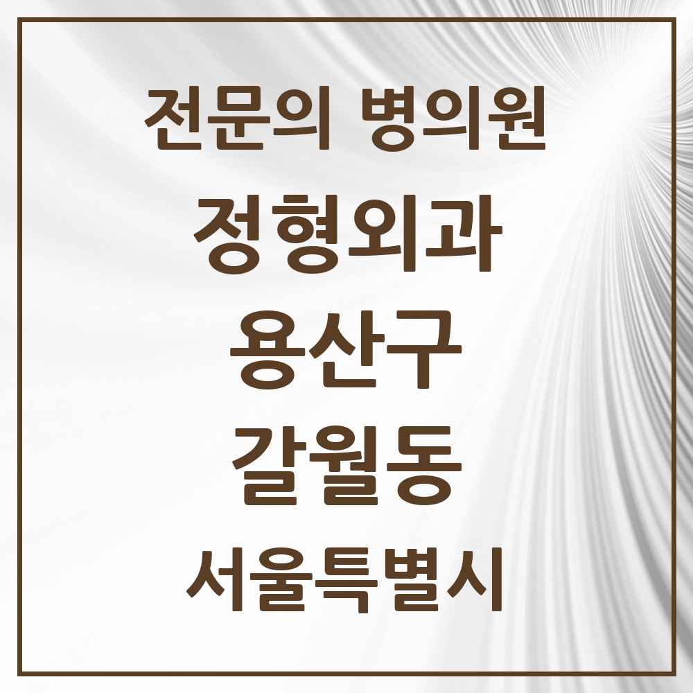 2025 서울특별시 용산구 갈월동 정형외과 전문의 의원·병원 목록 2곳