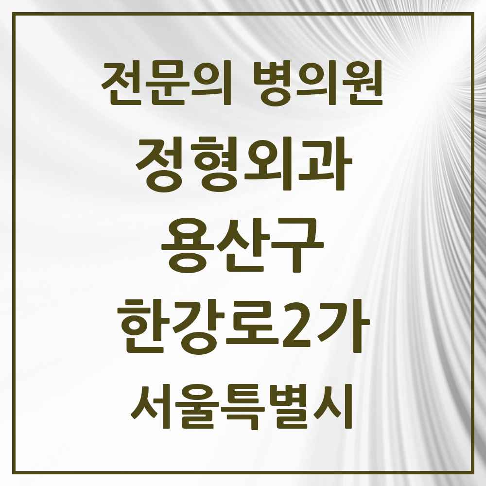 2025 서울특별시 용산구 한강로2가 정형외과 전문의 의원·병원 목록 1곳