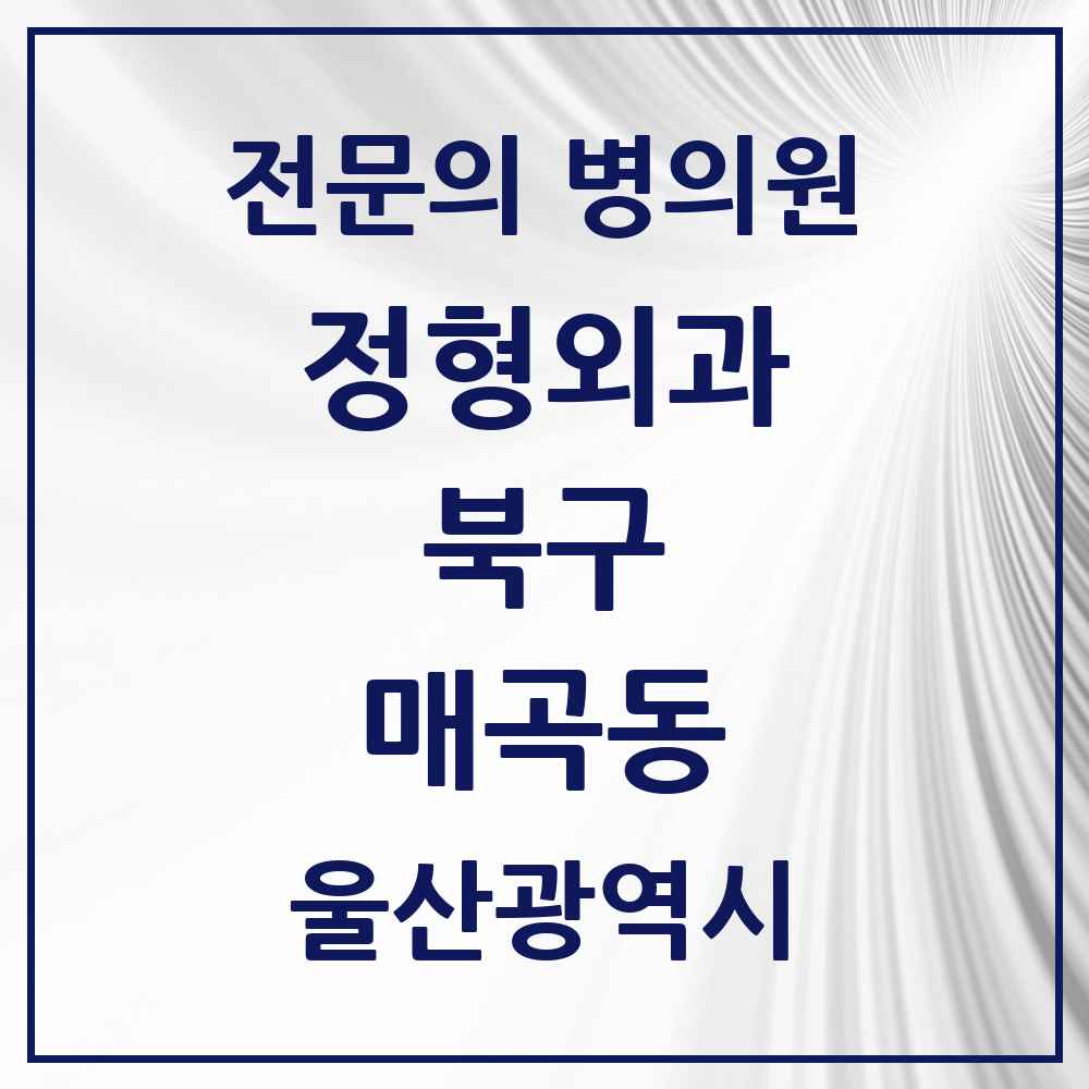 2025 울산광역시 북구 매곡동 정형외과 전문의 의원·병원 목록 1곳