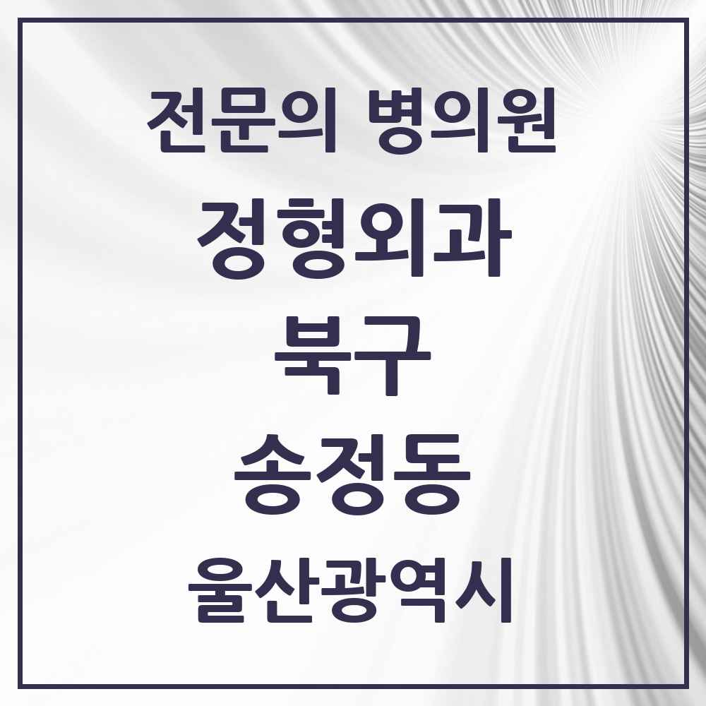 2025 울산광역시 북구 송정동 정형외과 전문의 의원·병원 목록 1곳
