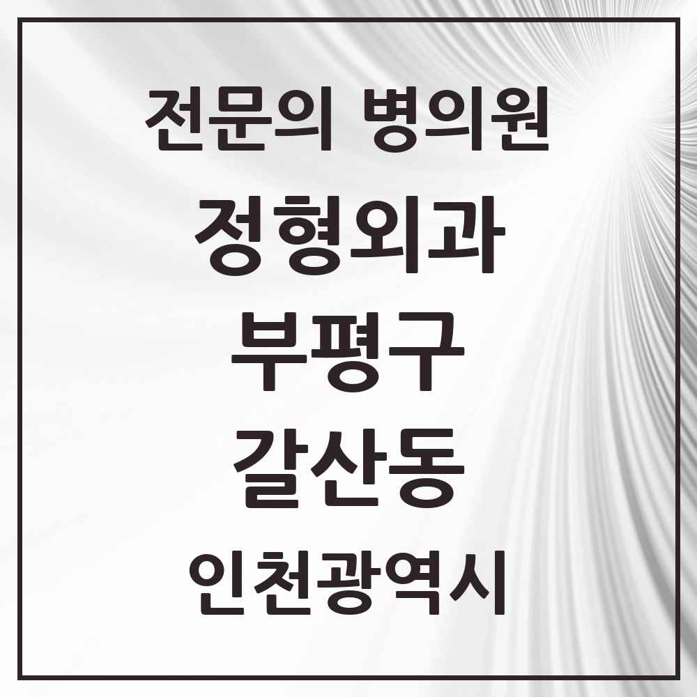 2025 인천광역시 부평구 갈산동 정형외과 전문의 의원·병원 목록 1곳