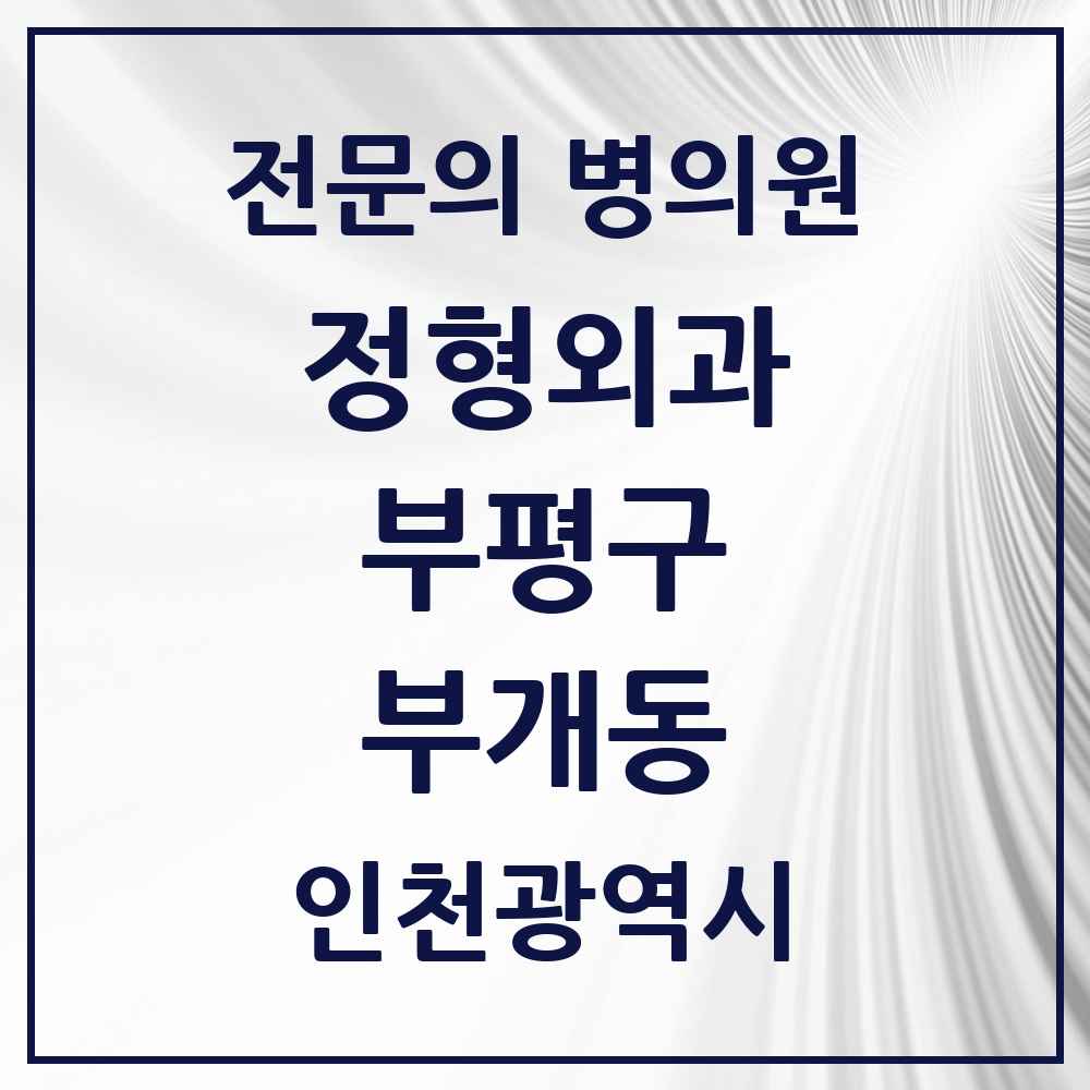 2025 인천광역시 부평구 부개동 정형외과 전문의 의원·병원 목록 4곳