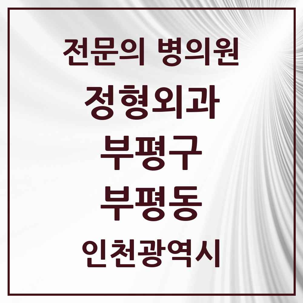2025 인천광역시 부평구 부평동 정형외과 전문의 의원·병원 목록 14곳