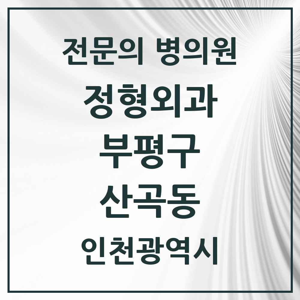 2025 인천광역시 부평구 산곡동 정형외과 전문의 의원·병원 목록 8곳