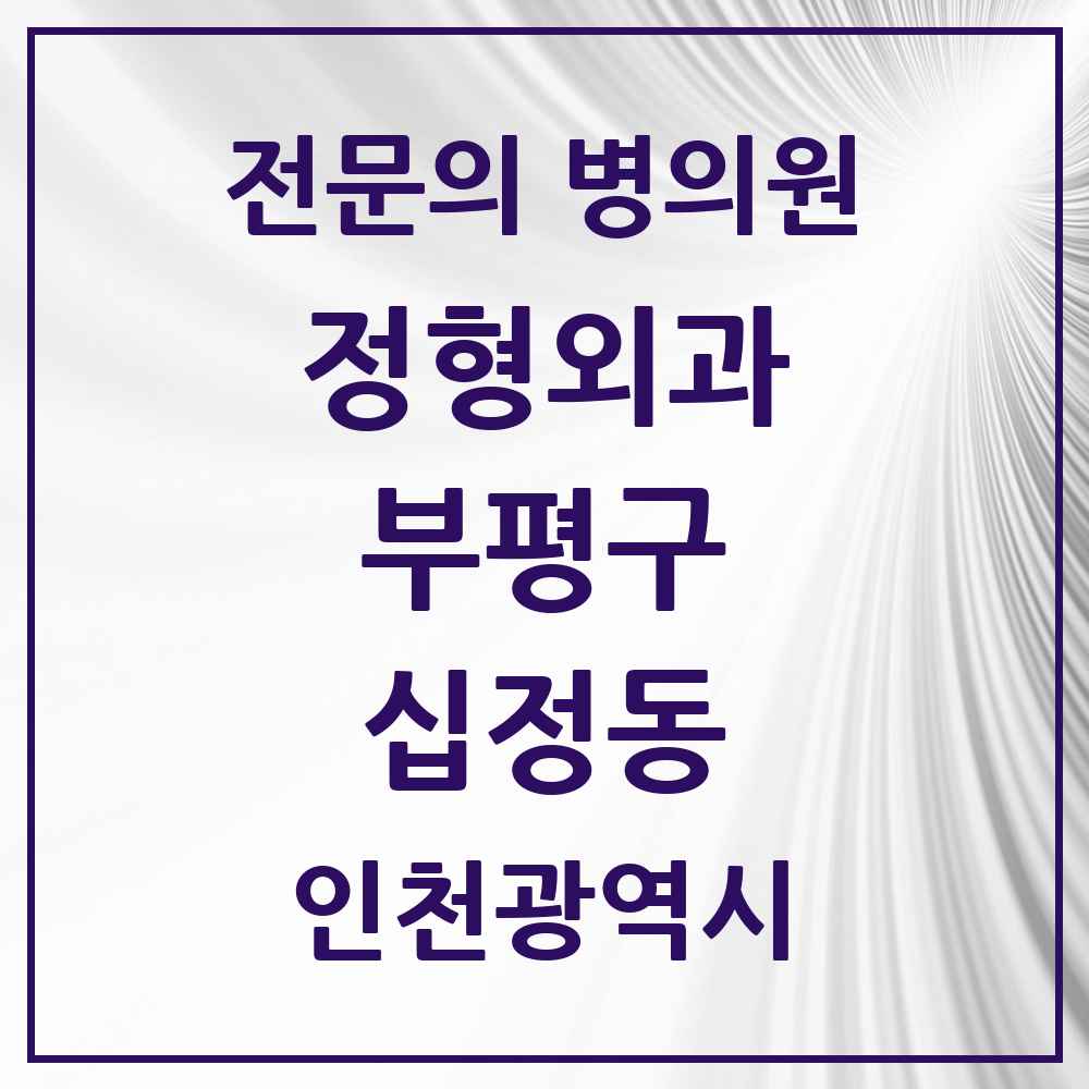 2025 인천광역시 부평구 십정동 정형외과 전문의 의원·병원 목록 2곳