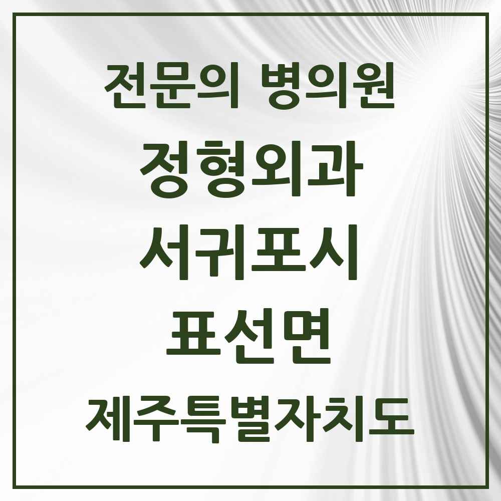 2025 제주특별자치도 서귀포시 표선면 정형외과 전문의 의원·병원 목록 1곳
