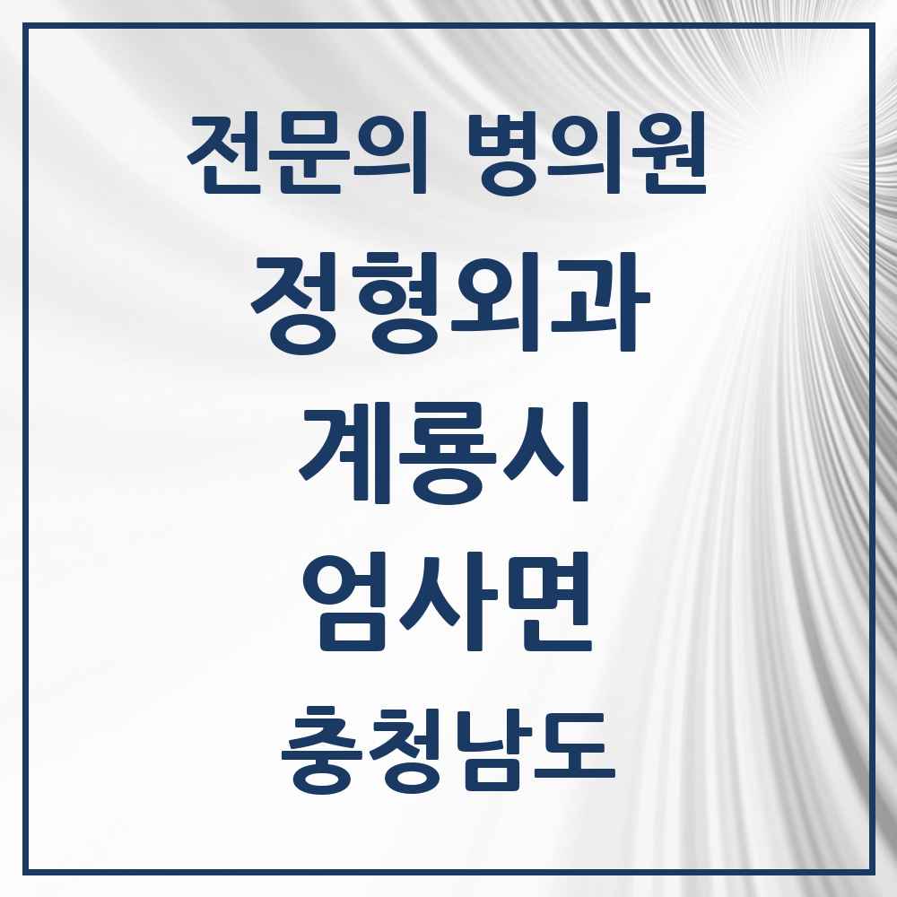 2025 충청남도 계룡시 엄사면 정형외과 전문의 의원·병원 목록 1곳