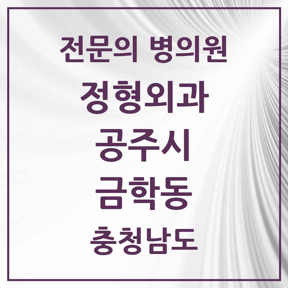 2025 충청남도 공주시 금학동 정형외과 전문의 의원·병원 목록 1곳
