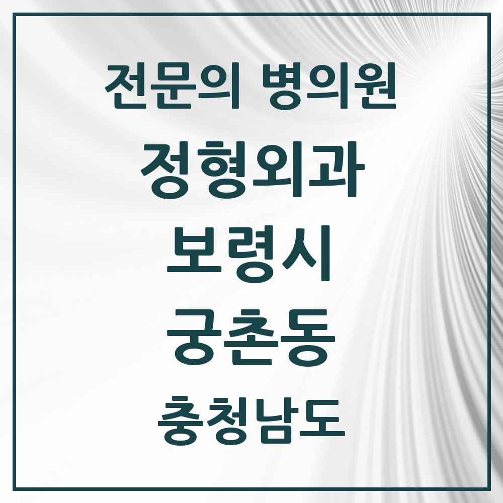 2025 충청남도 보령시 궁촌동 정형외과 전문의 의원·병원 목록 1곳