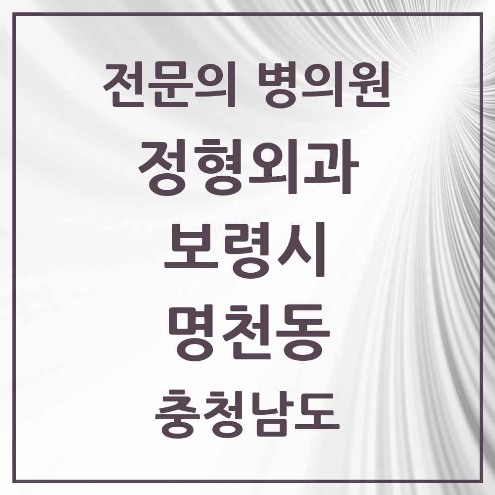 2025 충청남도 보령시 명천동 정형외과 전문의 의원·병원 목록 1곳