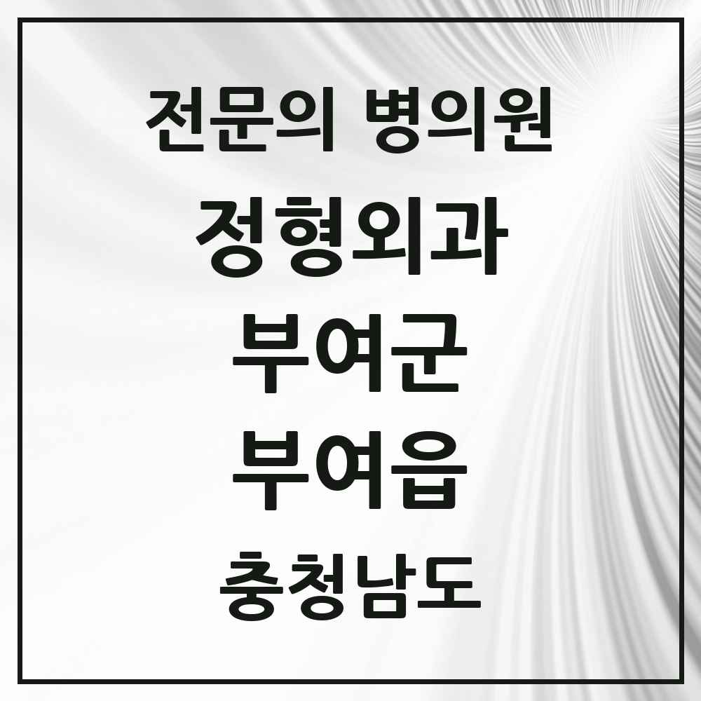 2025 충청남도 부여군 부여읍 정형외과 전문의 의원·병원 목록 3곳