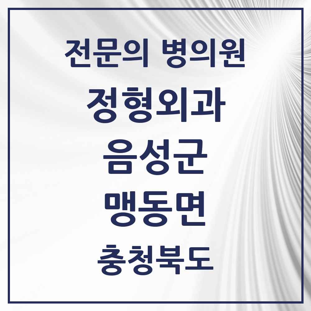 2025 충청북도 음성군 맹동면 정형외과 전문의 의원·병원 목록 1곳