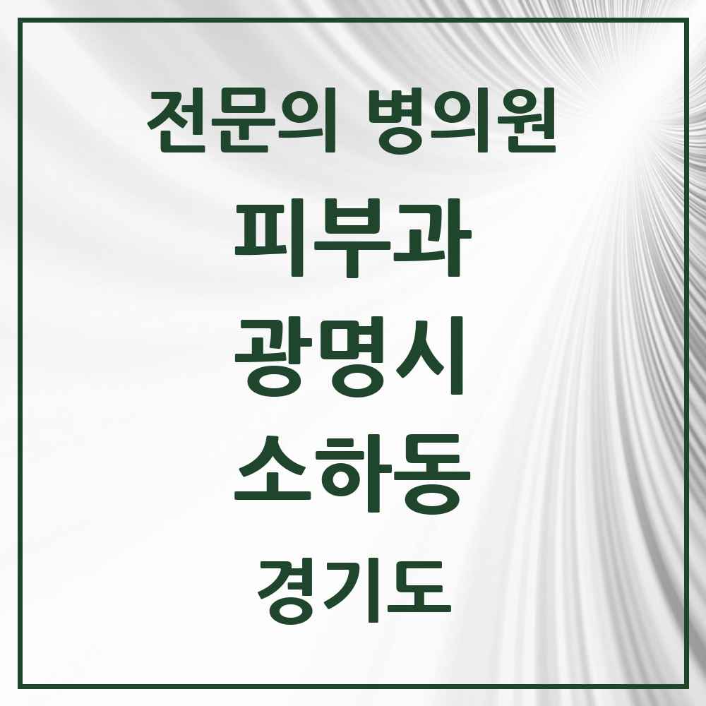 2025 경기도 광명시 소하동 피부과 전문의 의원·병원 목록 2곳