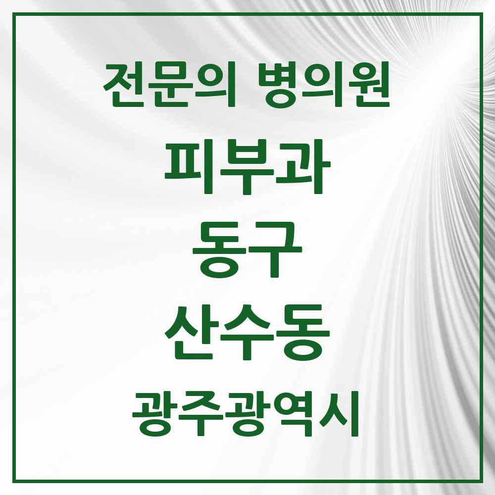 2025 광주광역시 동구 산수동 피부과 전문의 의원·병원 목록 1곳