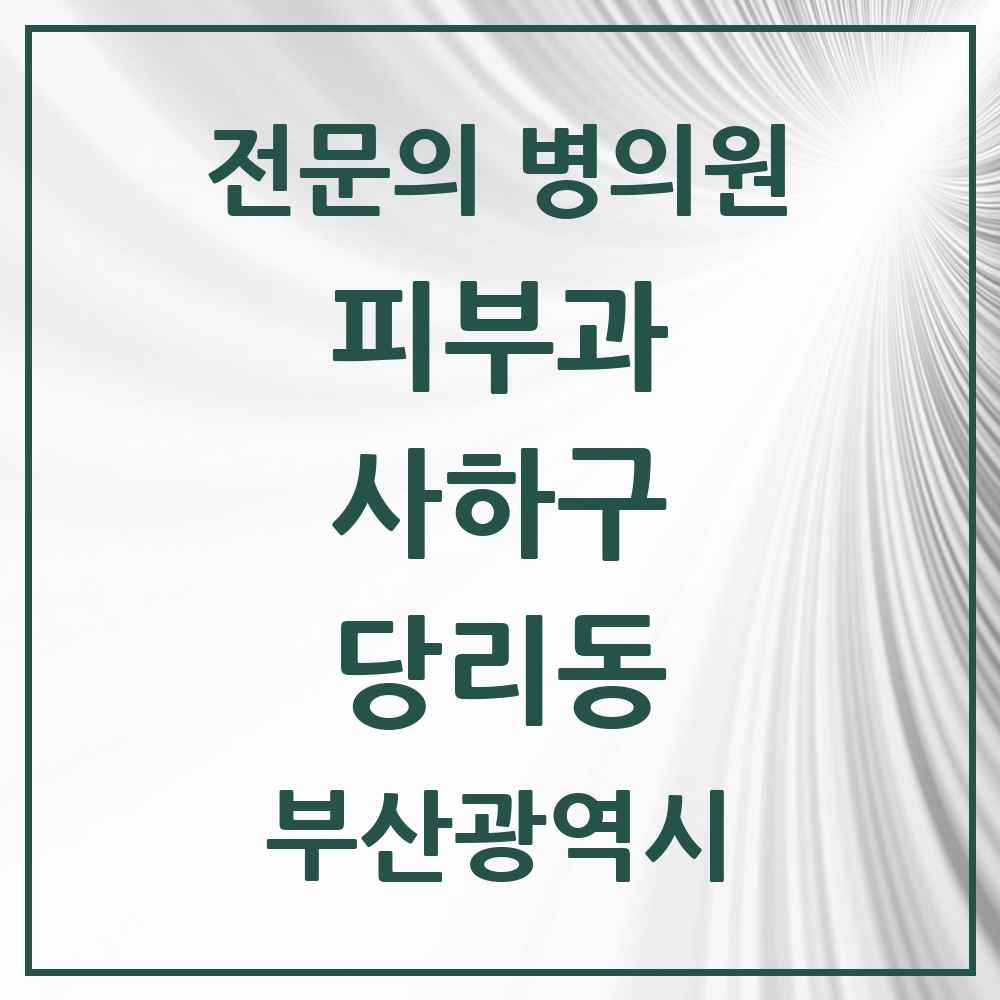 2025 부산광역시 사하구 당리동 피부과 전문의 의원·병원 목록 1곳