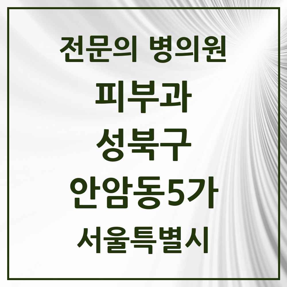 2025 서울특별시 성북구 안암동5가 피부과 전문의 의원·병원 목록 1곳